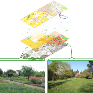 Darstellung der Digitalisierung des urbanen Gartenbaus als Grundlage für die Abschätzung von Ökosystemleistungen für die kommunale Entwicklungsplanung Quelle: Tino Fauk